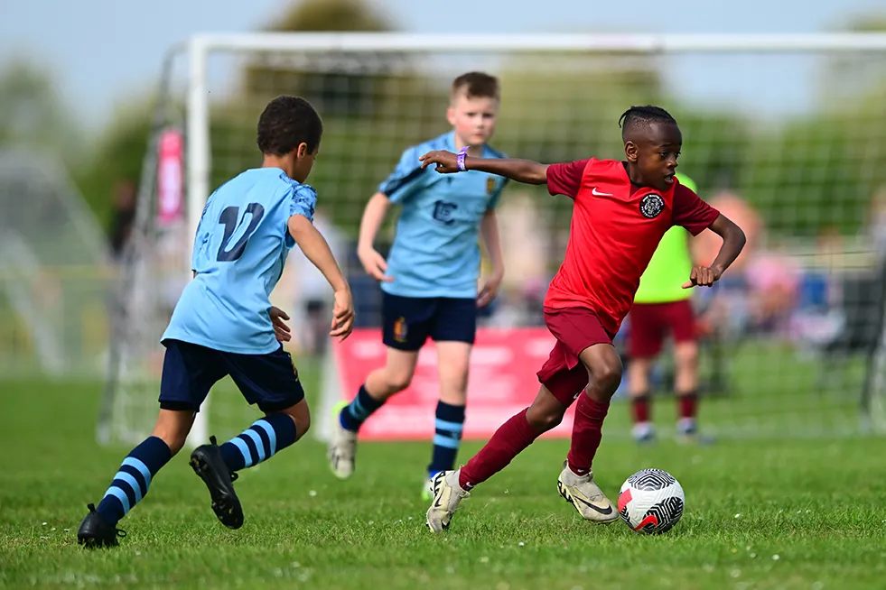 ESF26 Bognor–02 crop